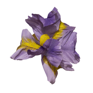 Iris Paper Flower