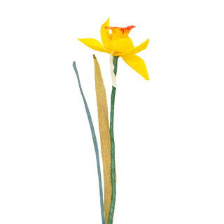 Daffodil Paper Flower