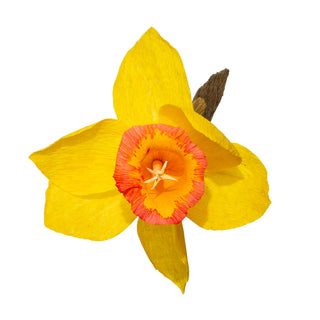 Daffodil Paper Flower