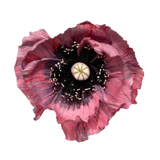 Poppy Paper Flower