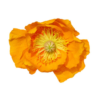 Poppy Paper Flower