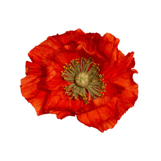 Poppy Paper Flower