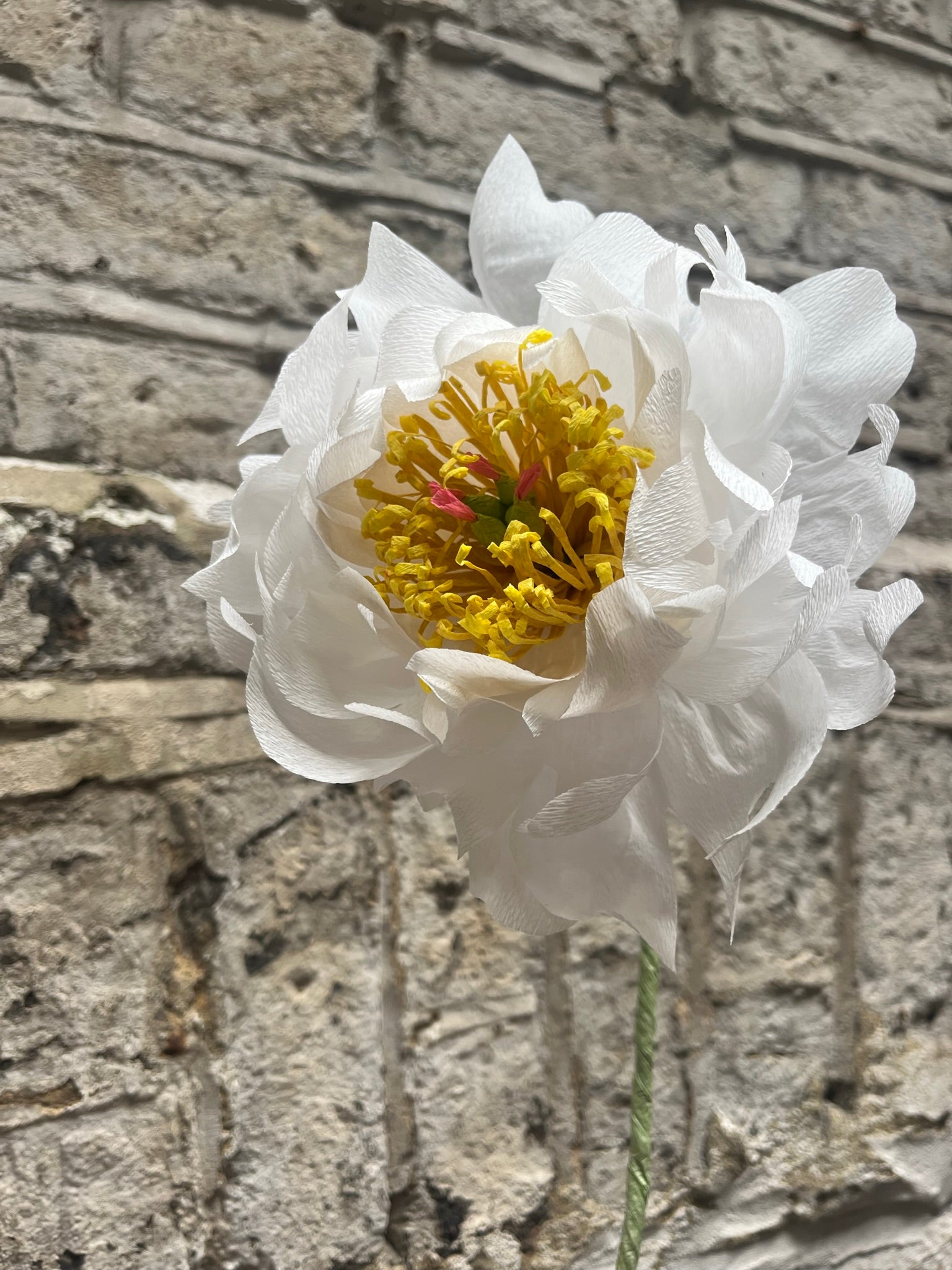 Peony Paper Flower – Dar Leone
