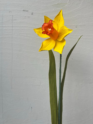 Daffodil Paper Flower