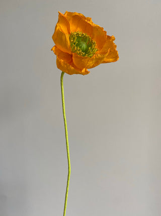 Poppy Paper Flower