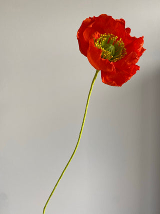 Poppy Paper Flower